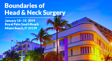 Boundaries of Head & Neck Surgery